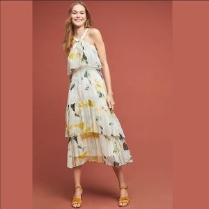 Anthropologie Garden Party Maxi Dress